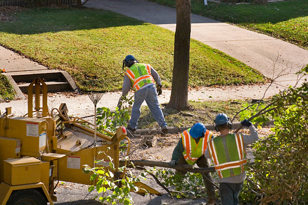 Best Landscape Design and Installation  in Mitchell, IN